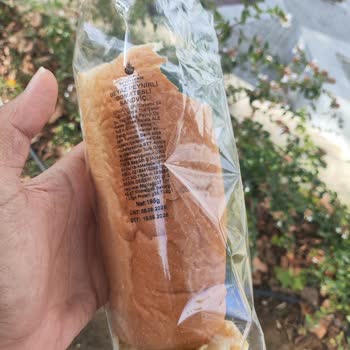 Beyazıt Küllük Sosyal Tesisi'nde Bozuk Sandviç Ve İletişim Sorunu