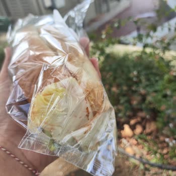 Beyazıt Küllük Sosyal Tesisi'nde Bozuk Sandviç Ve İletişim Sorunu