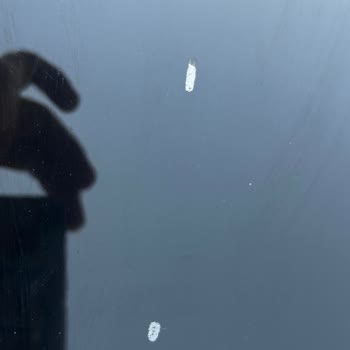 Sıfır Aracın Tavanında Boya Atması Ve İlgisiz Servis