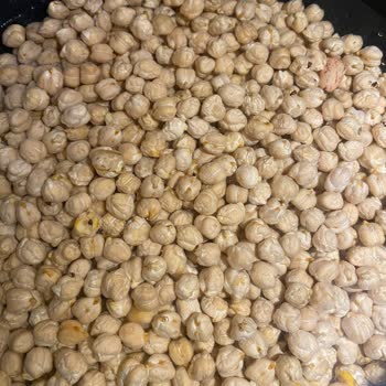 Aldığım Üründen Böcek Çıktı, Mağaza İlgisiz Davrandı Ve Geri Dönüş Yapılmadı