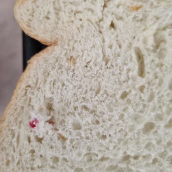 UNO Tost Ekmeğinde İp Çıkması Ve Hijyen Endişesi