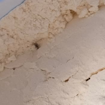 BİM Efsane Un İçinde Böcek