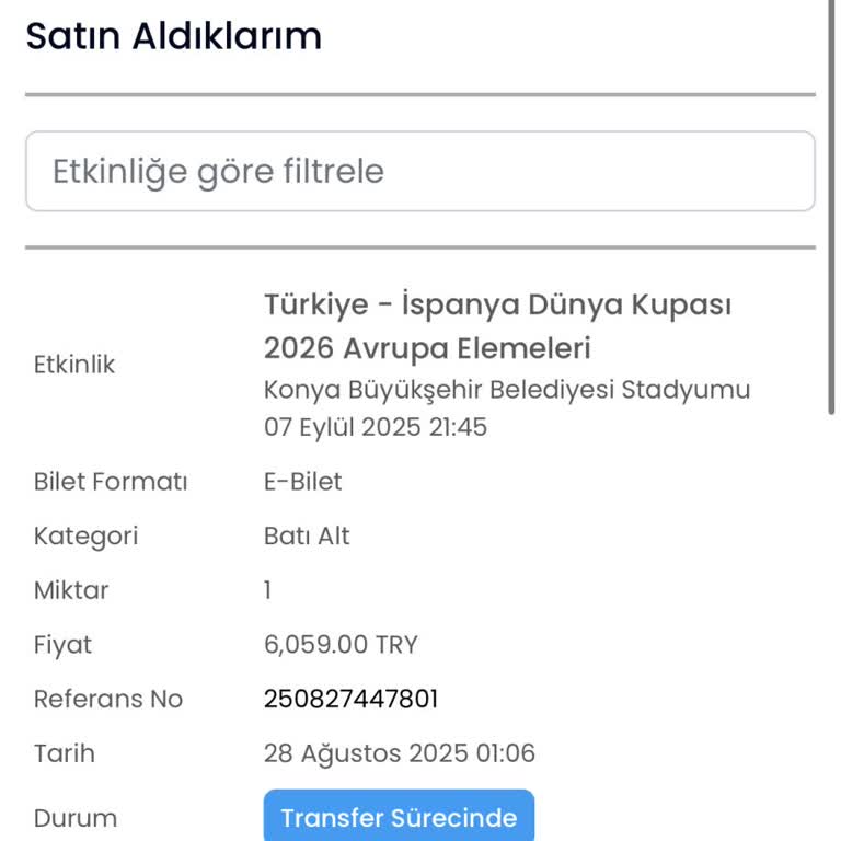 Banabilet'ten Alınan Maç Bileti Passolig Hesabına Tanımlanmadı, Destek Yetersiz