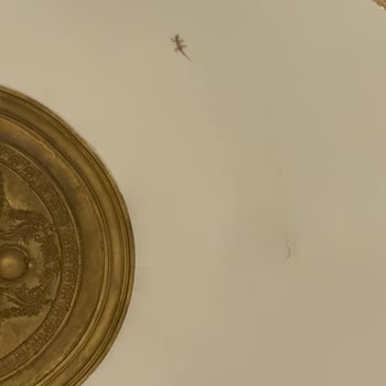 SSC Tur Hijyen Sorunlu Otelde Mağduriyet Ve İlgisizlik