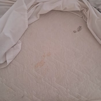 SSC Tur Hijyen Sorunlu Otelde Mağduriyet Ve İlgisizlik