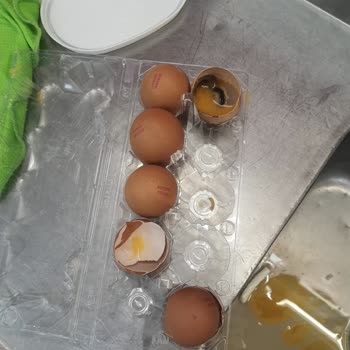 Aldığım Yumurta Ve Peynir Bozuk Çıktı, Tazelik Konusunda Güvenim Sarsıldı