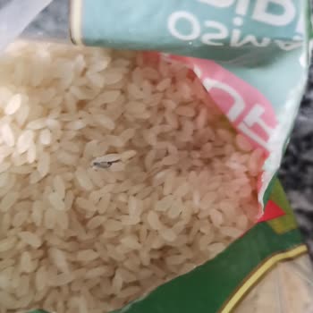 Aldığım Pirinçten Kurtçuk Çıktı, Mağduriyetimin Giderilmesini İstiyorum