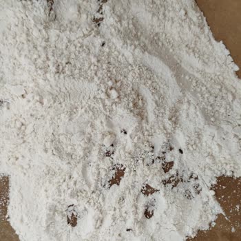 Aldığım Unun İçinden Canlı Böcekler Çıktı Müşteri Hizmetlerine Ulaşamıyorum