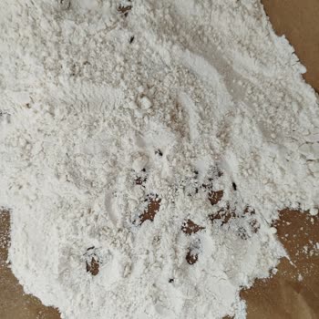 Aldığım Unun İçinden Canlı Böcekler Çıktı Müşteri Hizmetlerine Ulaşamıyorum