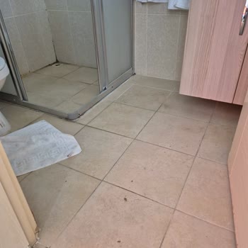 Hijyen Sorunları Ve Saygısız Davranışlarla Hayal Kırıklığı