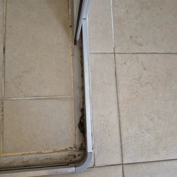 Hijyen Sorunları Ve Saygısız Davranışlarla Hayal Kırıklığı