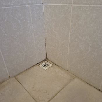 Hijyen Sorunları Ve Saygısız Davranışlarla Hayal Kırıklığı