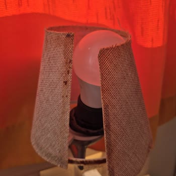 Hijyen Sorunları Ve Saygısız Davranışlarla Hayal Kırıklığı