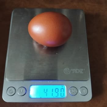 Migros'tan Aldığım Organik Yumurtalar Belirtilen Gramajda Çıkmadı