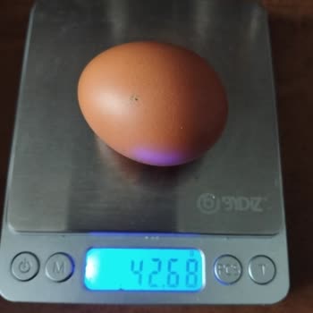 Organik Yumurta Paketinde Belirtilen Gramajdan Düşük Ürün Teslimatı