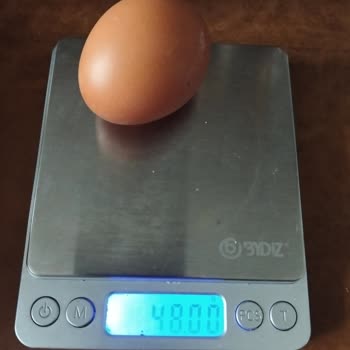 Organik Yumurta Paketinde Belirtilen Gramajdan Düşük Ürün Teslimatı