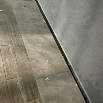 Hijyen Ve Temizlik Sorunları Nedeniyle Büyük Mağduriyet Yaşadık