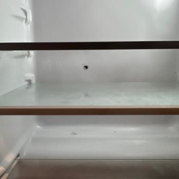 Hijyen Sorunları, Güvenlik Eksikliği Ve Eksik Konaklama Nedeniyle Mağduriyet