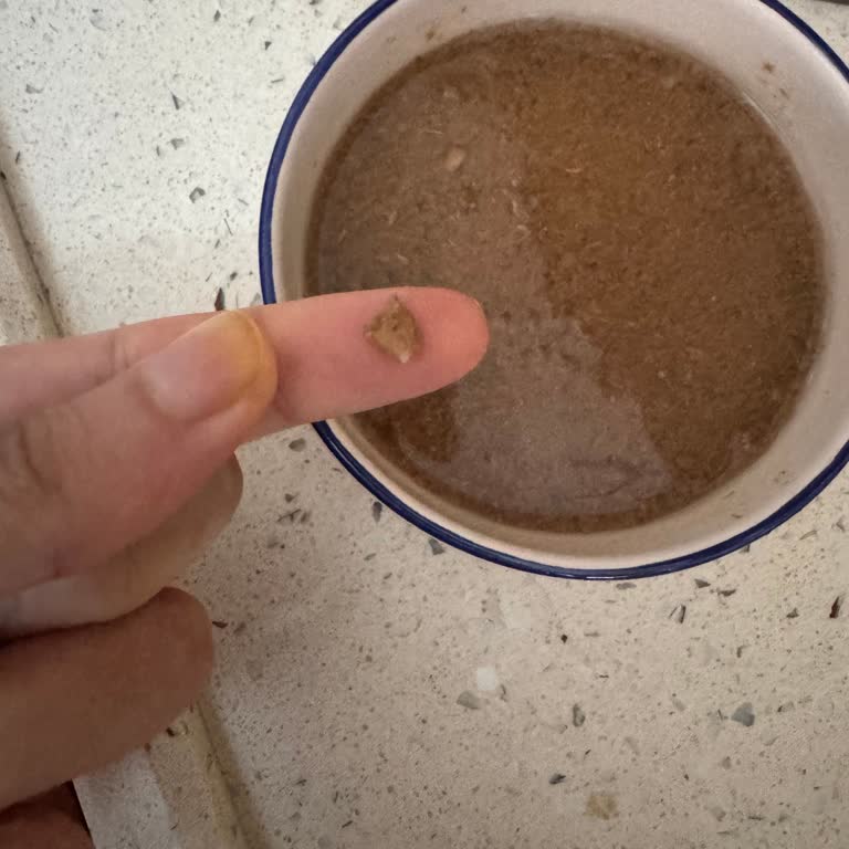 Nutri Pet Foods Yaş Mamada Çıkan Kemik Parçası Endişesi