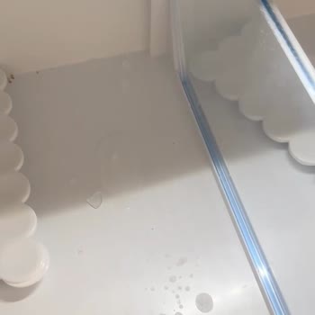 Yeni Aldığım Bosch Buzdolabında Bitmeyen Kapak Ve Buzlanma Sorunları