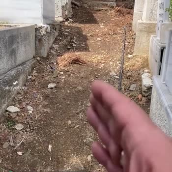 İstanbul Büyükşehir Belediyesi Mezarlıklar Müdürlüğü Bakım Ve Onarım Temizlik İstiyoruz!