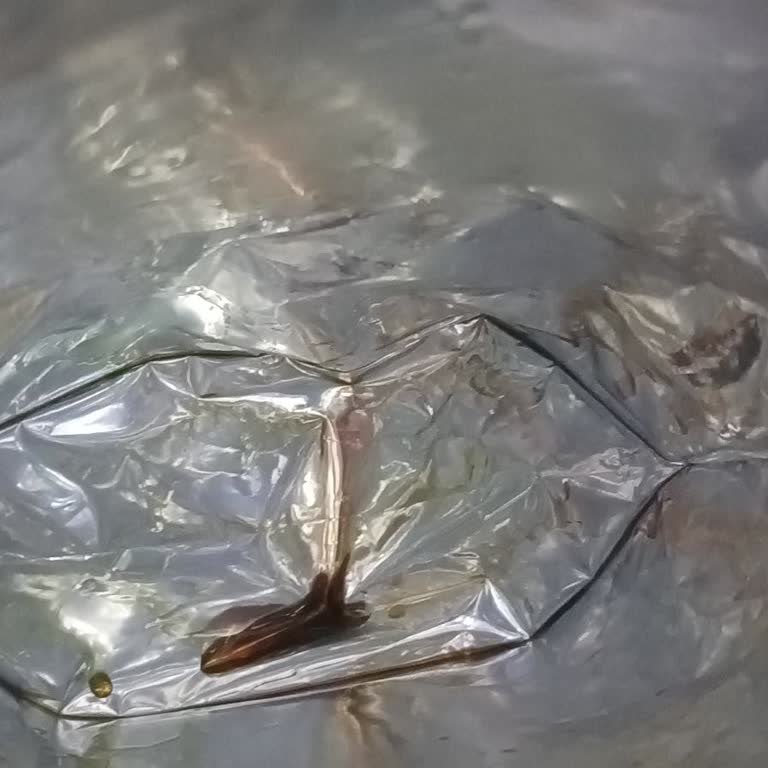 Aldığım Bulaşık Tabletleri Küflü Çıktı Para İadesi İstiyorum