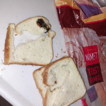 Tost Ekmeğinden Çıkan Paslı Vida Şok Etti Hijyen Endişesi Yaşadım