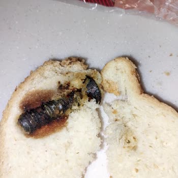 Tost Ekmeğinden Çıkan Paslı Vida Şok Etti Hijyen Endişesi Yaşadım