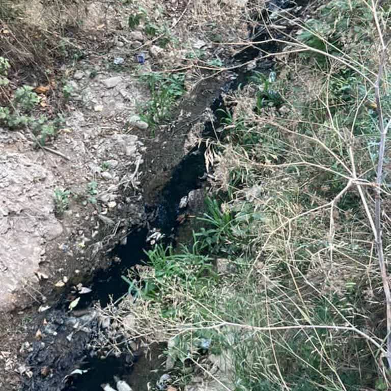 Beykoz Acarlar Mahallesi'nde Dere Kokusu Ve Çöp Suyu Sorunu Çözülmüyor