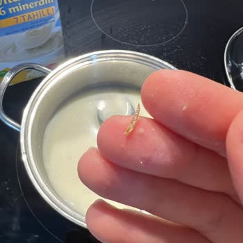 Bebek Mamasında Tehlikeli Yabancı Cisimler Çıktı