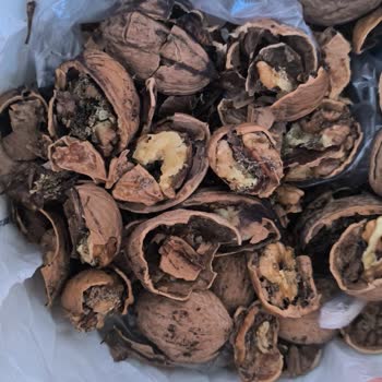 Migros Sanal Marketten Alınan Cevizlerin Kısa Sürede Bozulması Ve Ücret İadesi Talebi