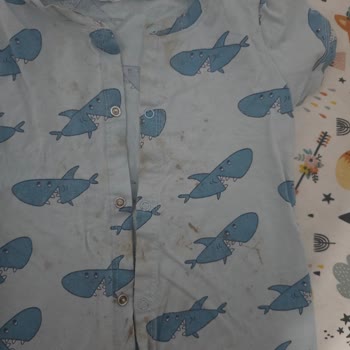 Bosch Çamaşır Makinesi Lekeleri Çıkarmıyor Servis Çözüm Sunmuyor