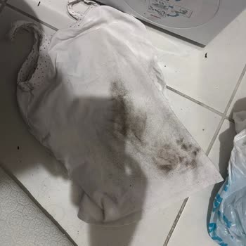 Bosch Çamaşır Makinesi Lekeleri Çıkarmıyor Servis Çözüm Sunmuyor