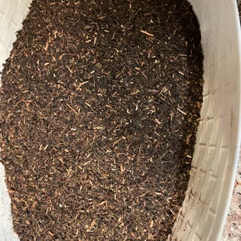 Aldığım Efor Çayların Yarısı Sap Çıktı Mağduriyet Yaşıyorum