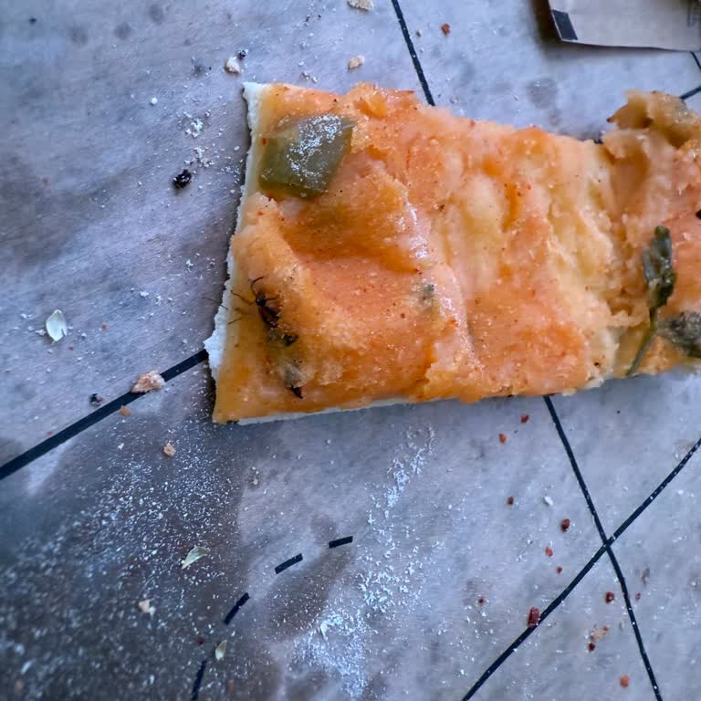 Pidemde Sipariş Ettiğim Pidenin İçinde Böcek Çıktı Çalışanlar İlgisizdi