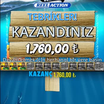 Betloto'da Yatırım Yaptıkça Kazanmak Zorlaşıyor!