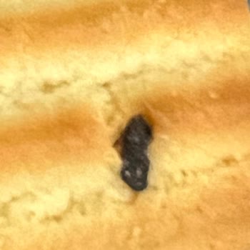 Bebek Bisküvisinden Böcek Çıktı, Mağduriyetimin Giderilmesini İstiyorum