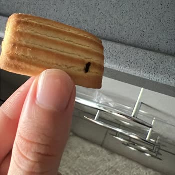 Bebek Bisküvisinden Böcek Çıktı, Mağduriyetimin Giderilmesini İstiyorum