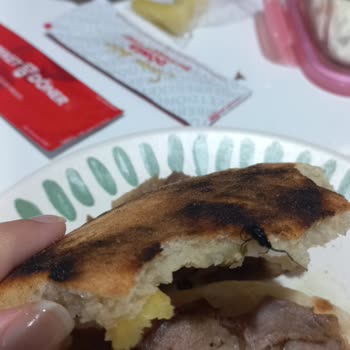 Siparişimden Böcek Çıktı, Hijyen Ve Müşteri Hizmetleri Sorunu Yaşadım