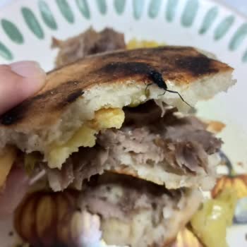 Siparişimden Böcek Çıktı, Hijyen Ve Müşteri Hizmetleri Sorunu Yaşadım