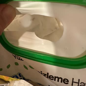 Aldığım Yüzey Temizleme Mendilleri Küflü Ve Sağlıksız Çıktı