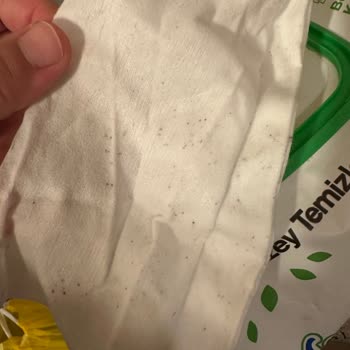Aldığım Yüzey Temizleme Mendilleri Küflü Ve Sağlıksız Çıktı