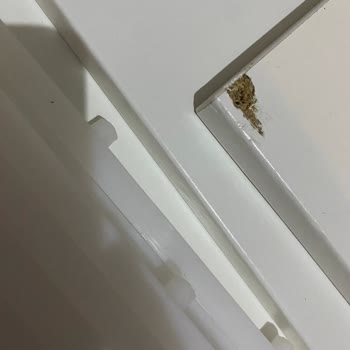 Hasarlı Ve Geç Teslimat Sonrası Çözüm Sunulmayan IKEA Siparişi