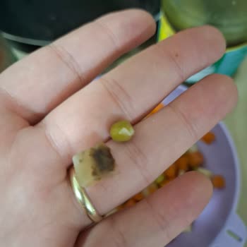 Tukaş Garnitürden Çamurlu Ve Bozuk Sebzeler Çıktı