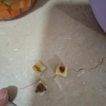 Tukaş Garnitürden Çamurlu Ve Bozuk Sebzeler Çıktı