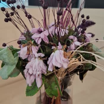 Yanlış Ve Sağlıksız Çiçek Teslimatı, İade Sürecinde İlgisizlik