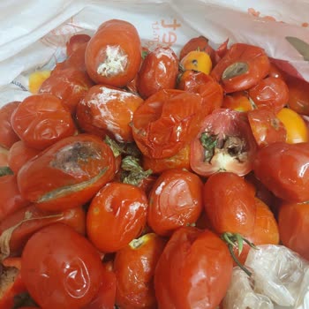 Bozuk Ve Kokmuş Ürünlerin İadesi Reddi Nedeniyle Mağduriyet