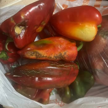 Bozuk Ve Kokmuş Ürünlerin İadesi Reddi Nedeniyle Mağduriyet