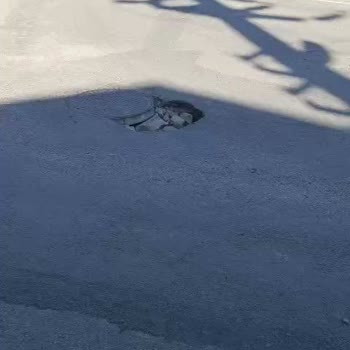 Hasanağa Mahallesi'nde Fiber Altyapı Ve Asfalt Sorunu Güvenliği Tehdit Ediyor