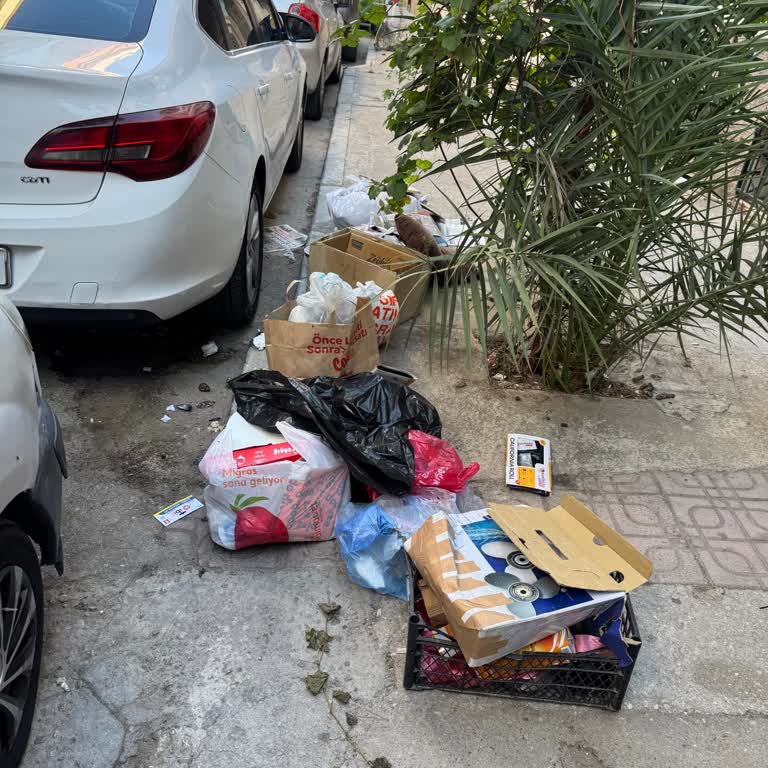 Akasya Sokak’ta Çöp Kutusu Eksikliği Nedeniyle Artan Çevre Kirliliğine Acil Çözüm Talebi